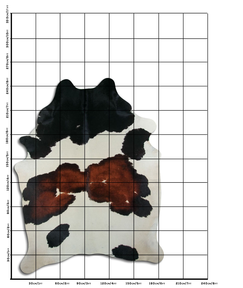 Tricolor 3 - 4 M Classe B
