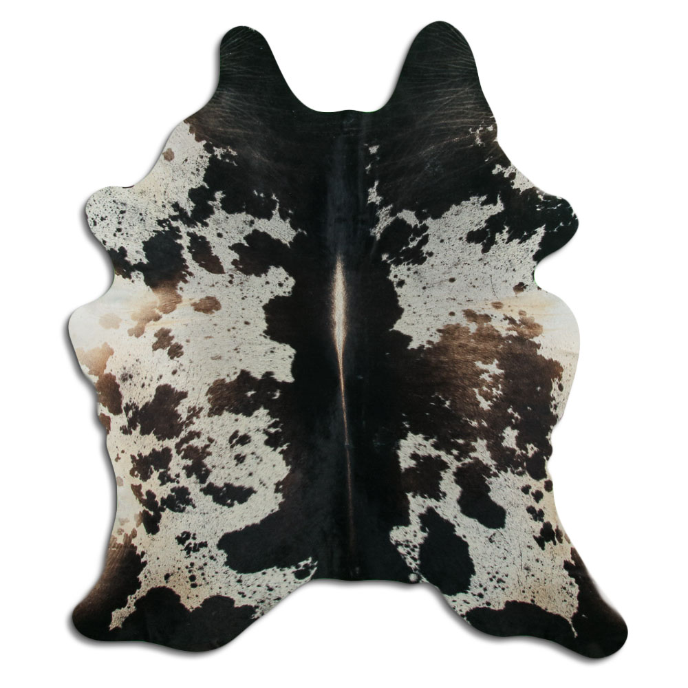 Tricolor 3 - 4 M Classe B