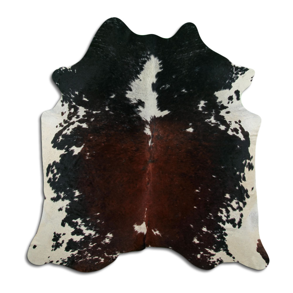 Tricolor 3 - 4 M Classe B