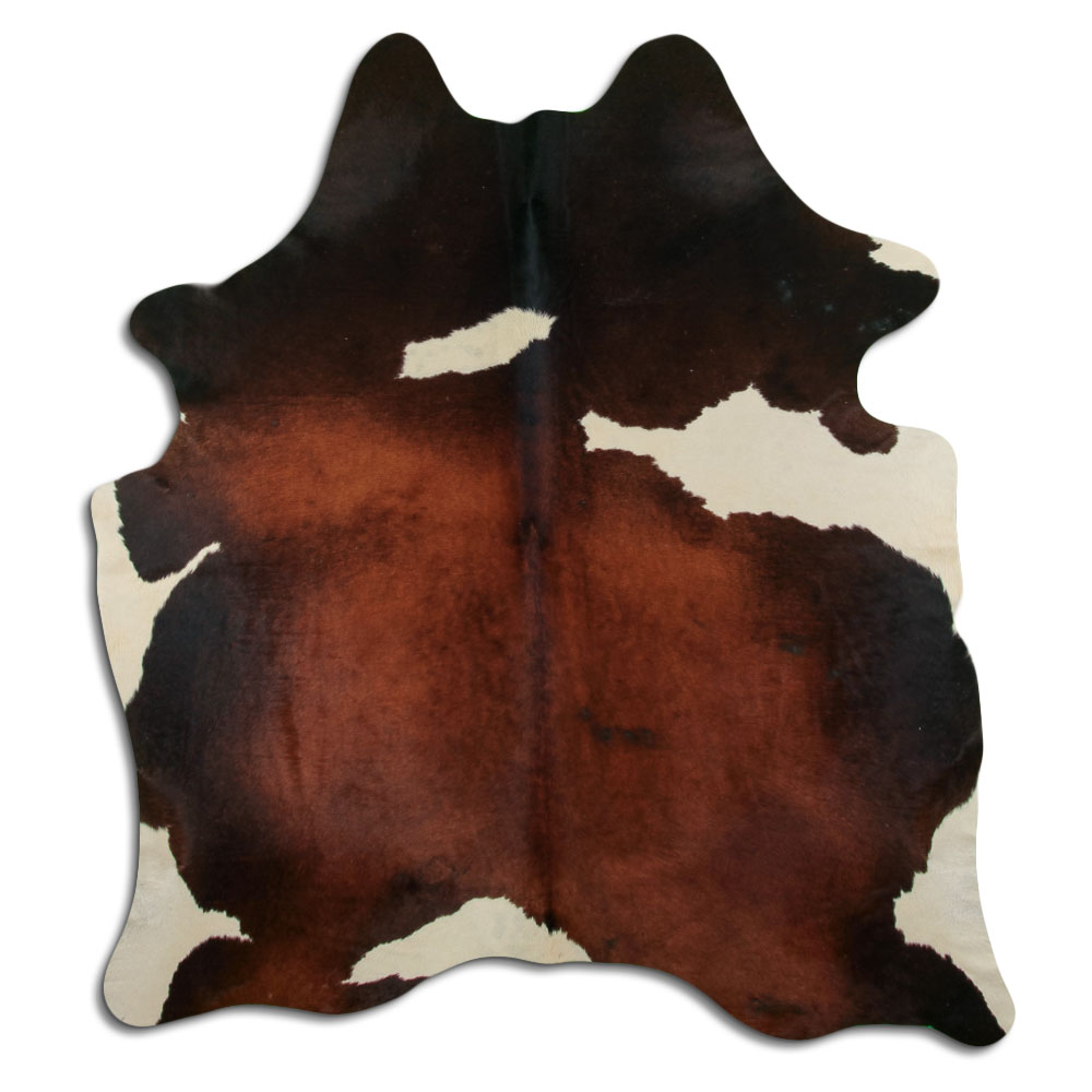 Tricolor 3 - 4 M Classe B