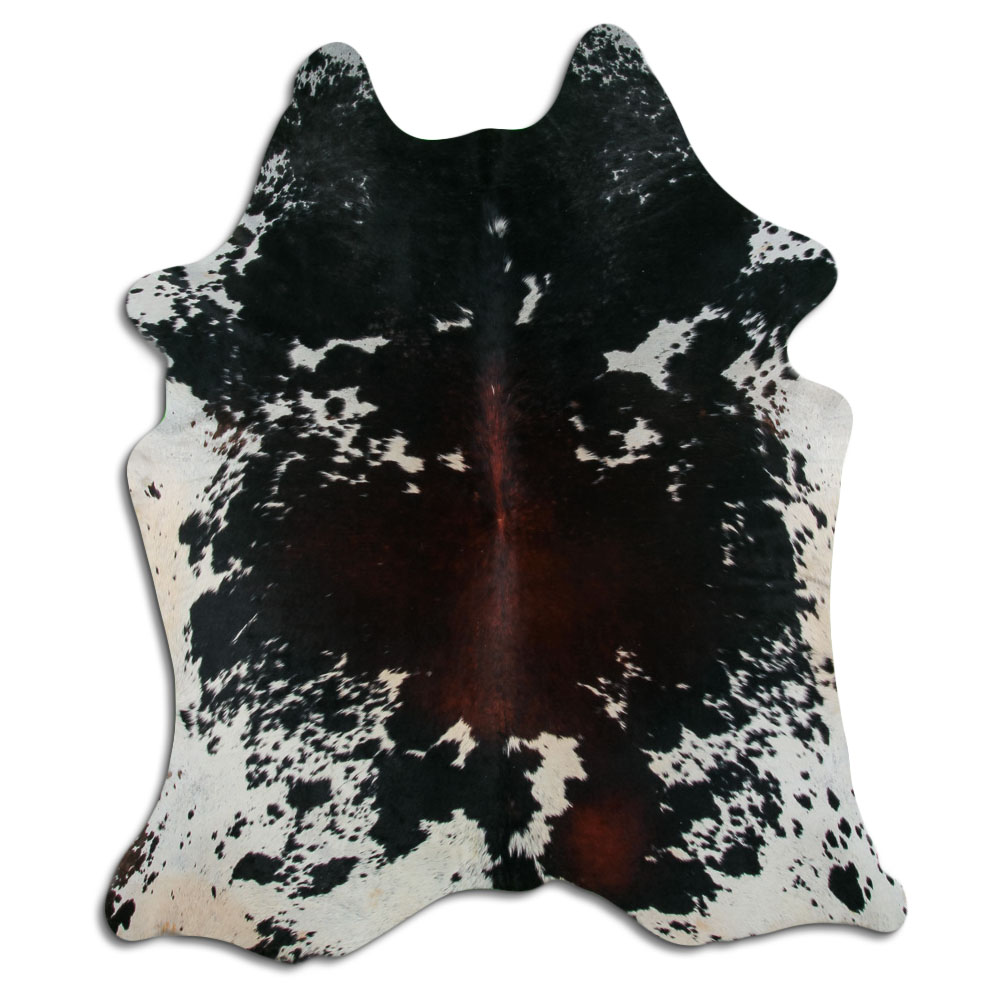 Tricolor 3 - 4 M Classe B