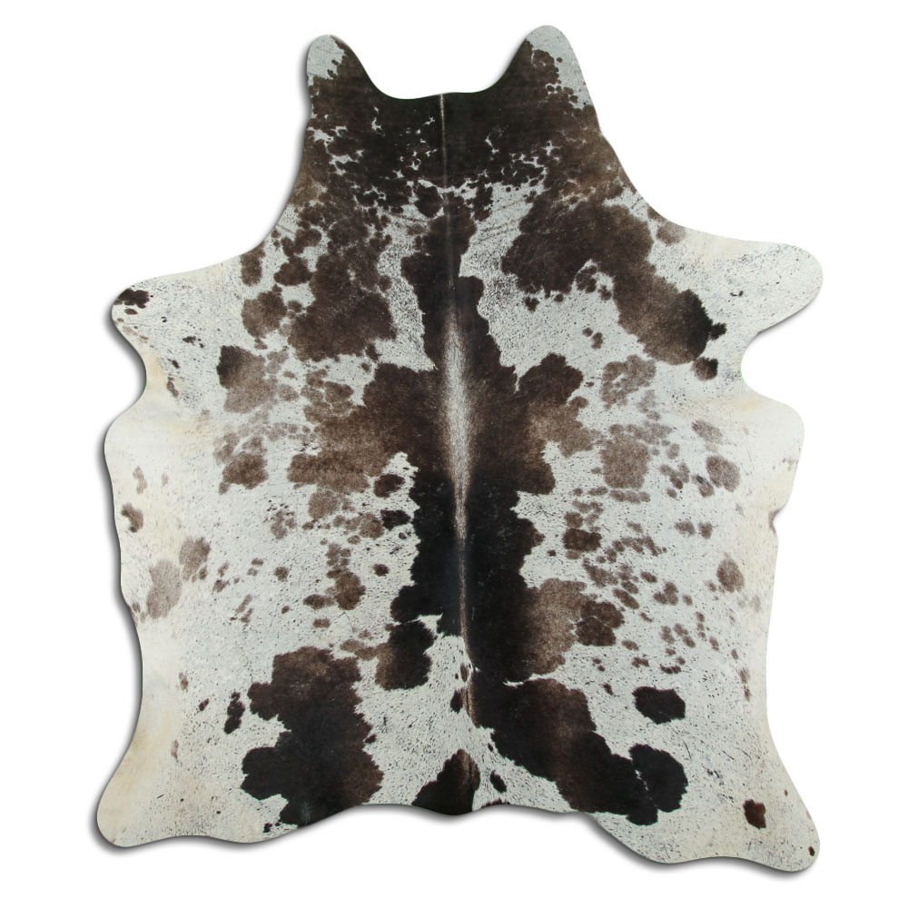 Tricolor 3 - 4 M Classe B