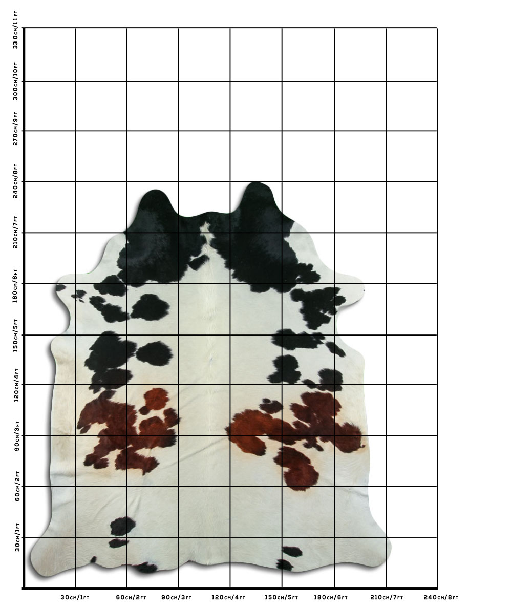 Tricolor 3 - 4 M Classe B Tricolor 3 - 4 M Classe B