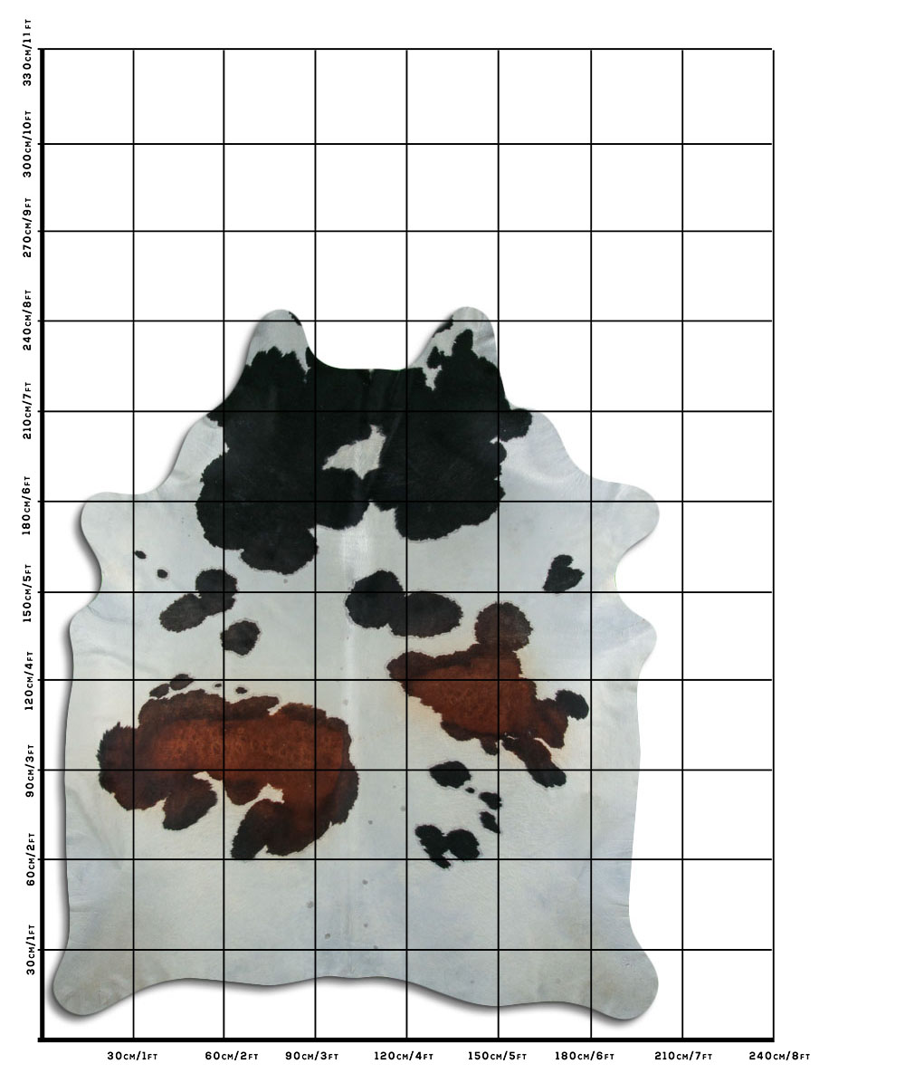 Tricolor 3 - 4 M Classe B Tricolor 3 - 4 M Classe B