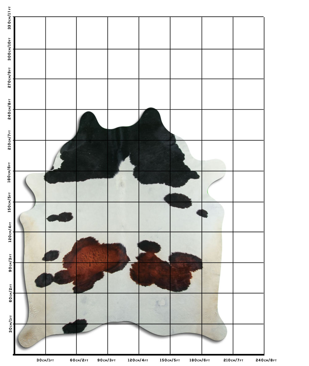 Tricolor 3 - 4 M Classe B