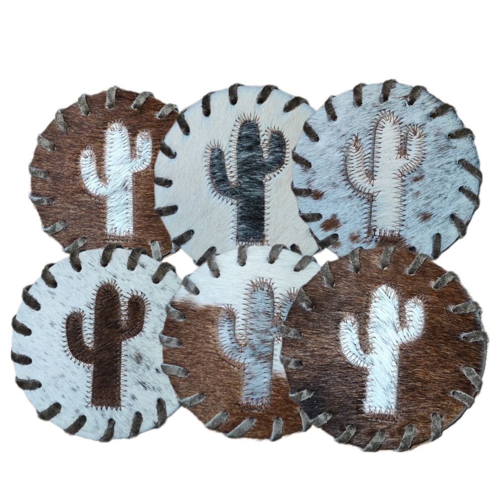 Coaster Cactus, Laced Border