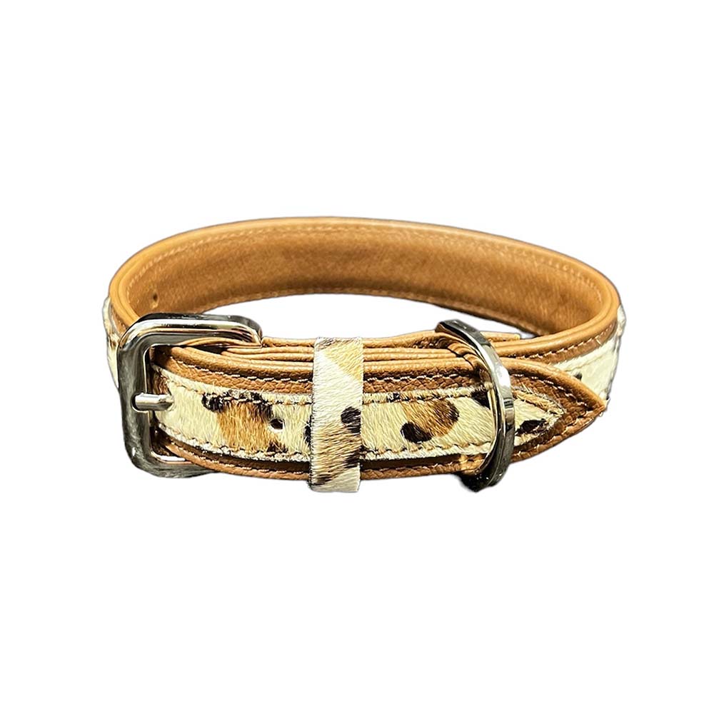 Dog Collar, Leopard