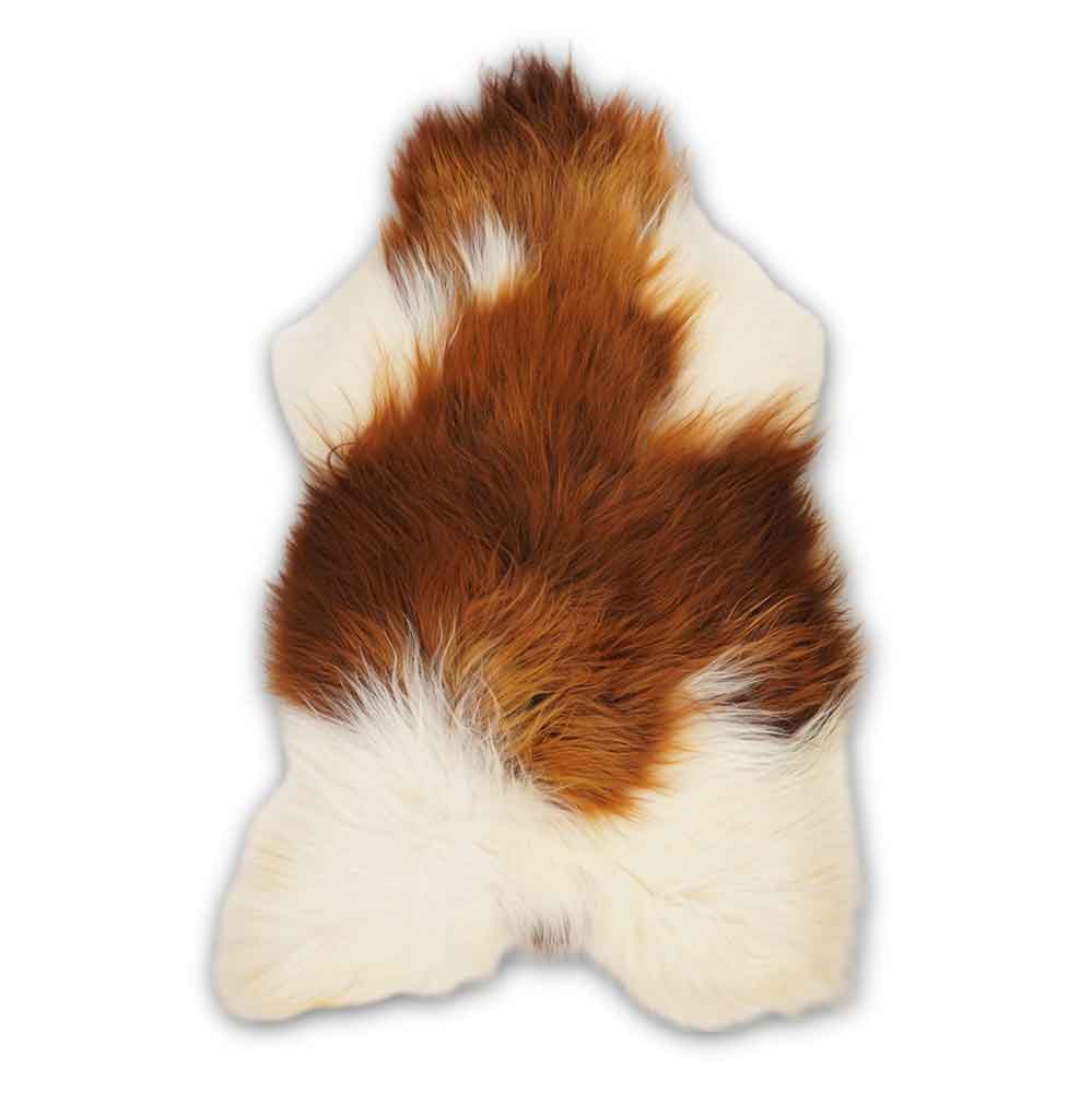 Icelandic Sheepskin - Multicolor Icelandic Sheepskin - Multicolor